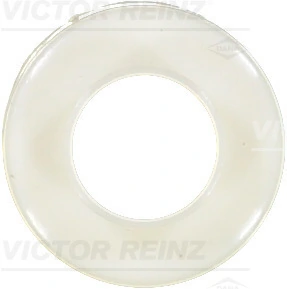 Seal Ring, valve stem